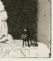 Black cat