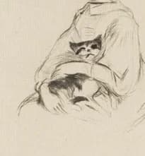 cat held by the girl