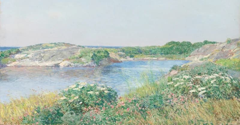 calm surface of the pond