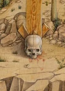 Skull of Adam