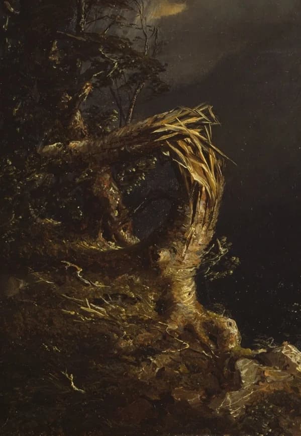 central blasted tree