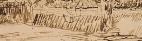 fence or hedge