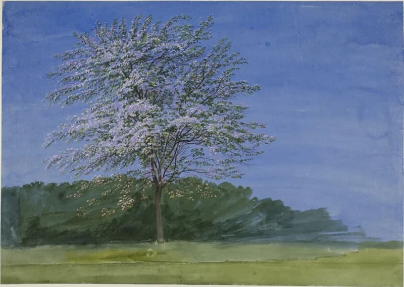 tree in full bloom