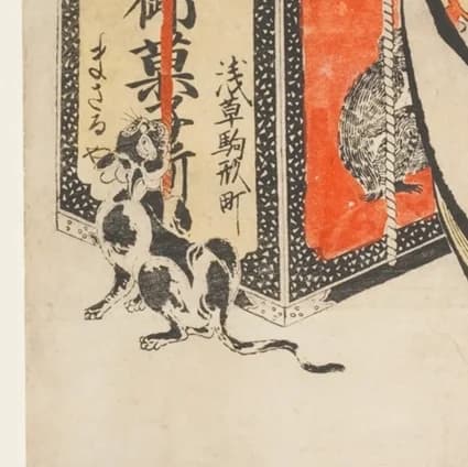 playing cat