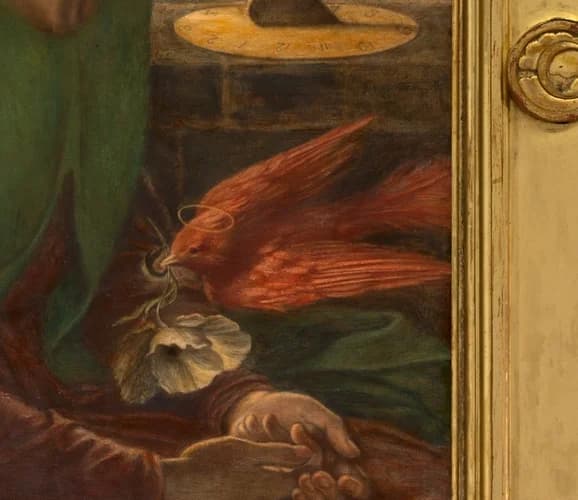Red bird as a messenger of death
