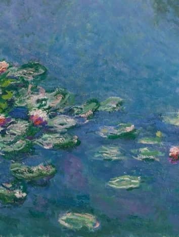 lower left water lily cluster