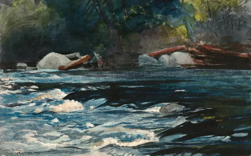 rapids surface