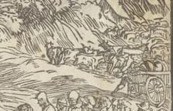 livestock (cattle) being led