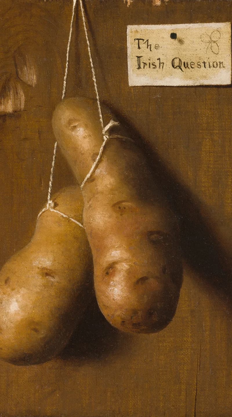 hanging upper potato