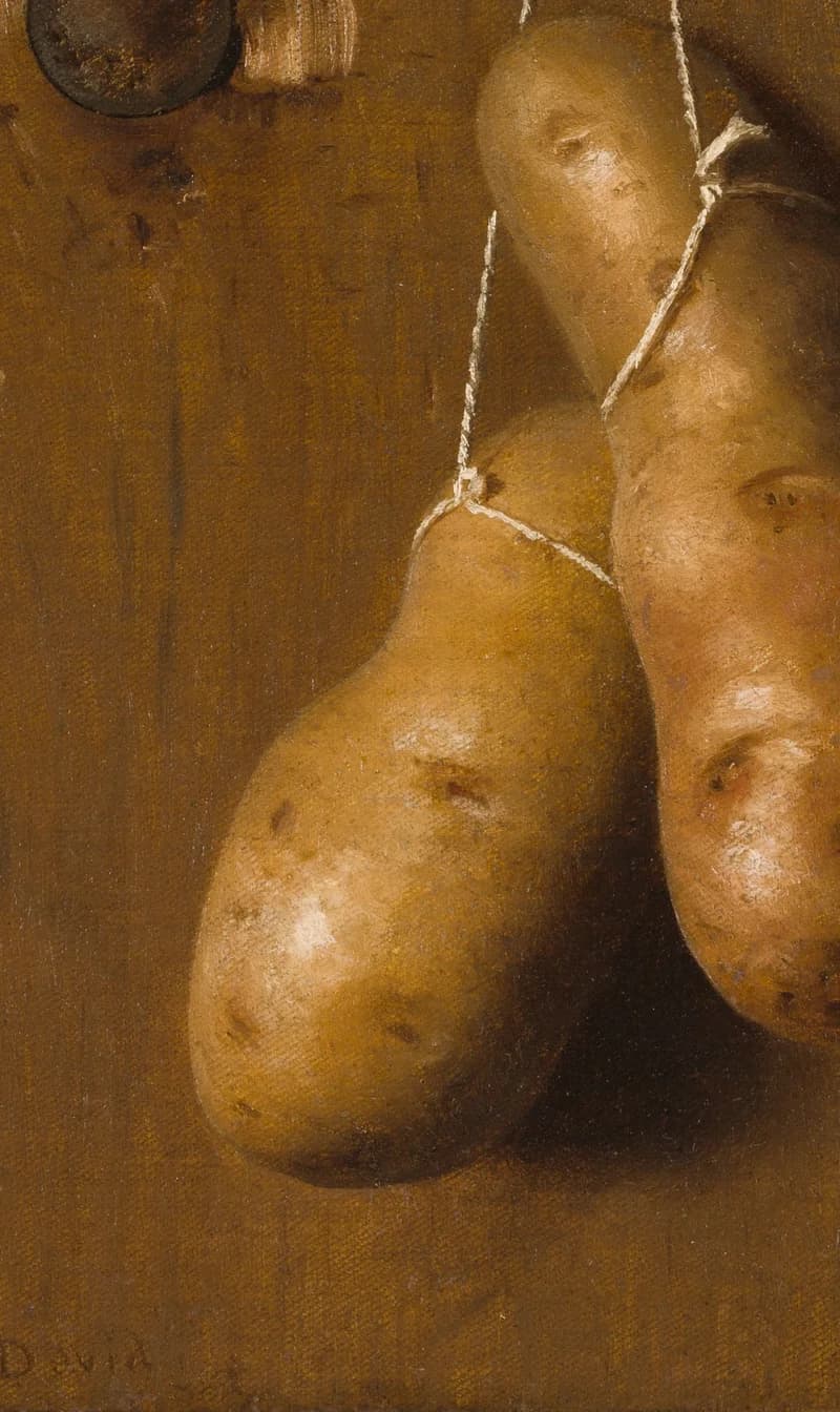 hanging lower potato