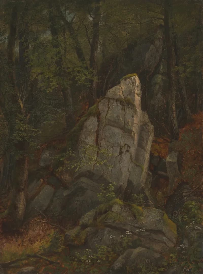 overall forest structure