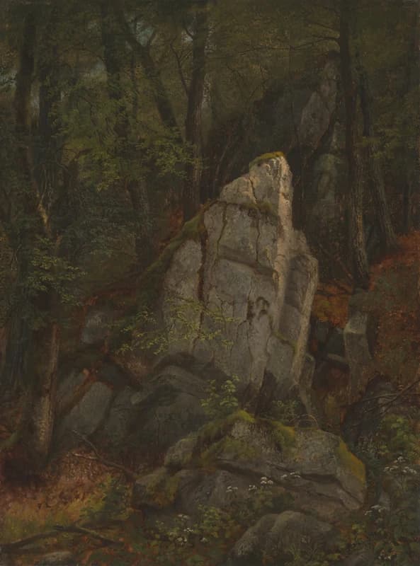 Study of Rocks in Pearson's Ravine