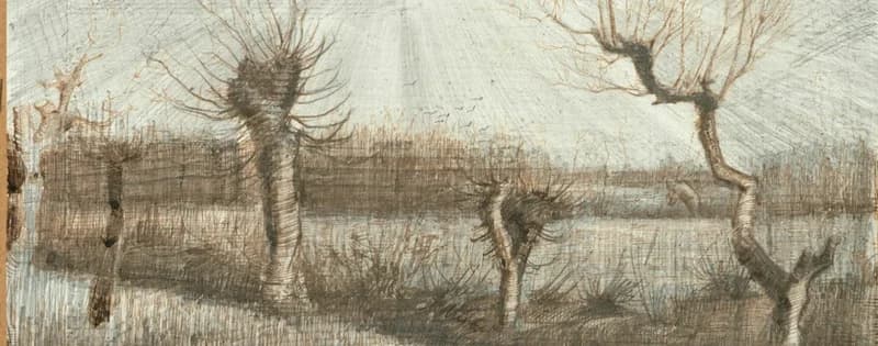 background hedge and trees