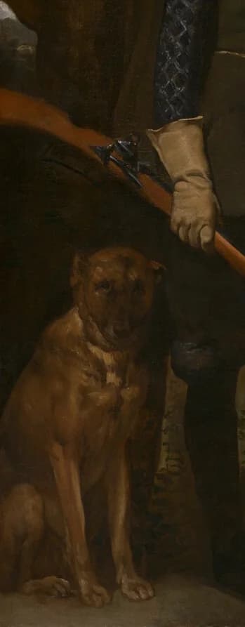 Sitting hunting dog