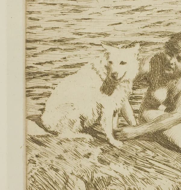 white dog