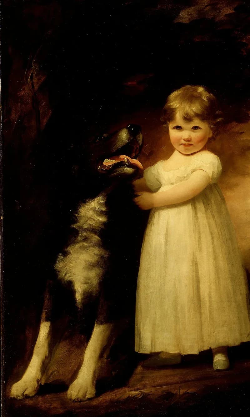 large black dog