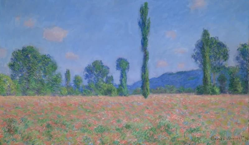 poppy field