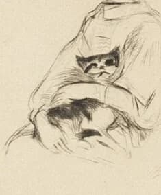 Cat being held