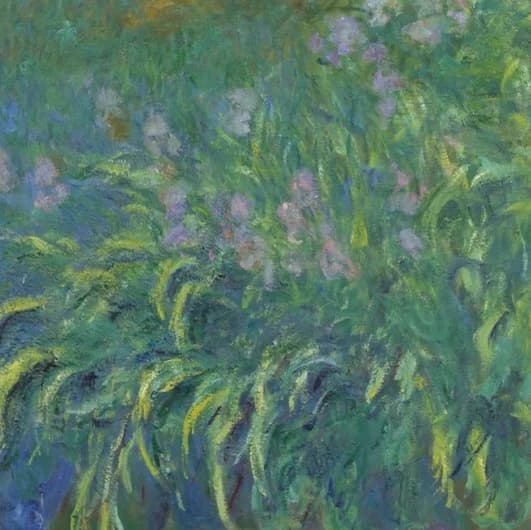 Cluster of irises in the center-right