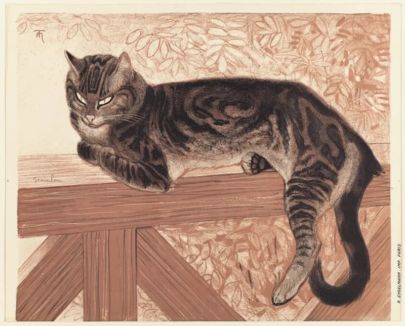 lying tabby cat