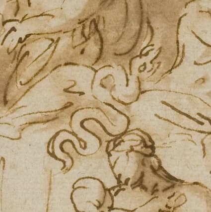 snake (transformation of Zeus)