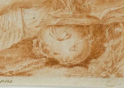 skull as memento mori