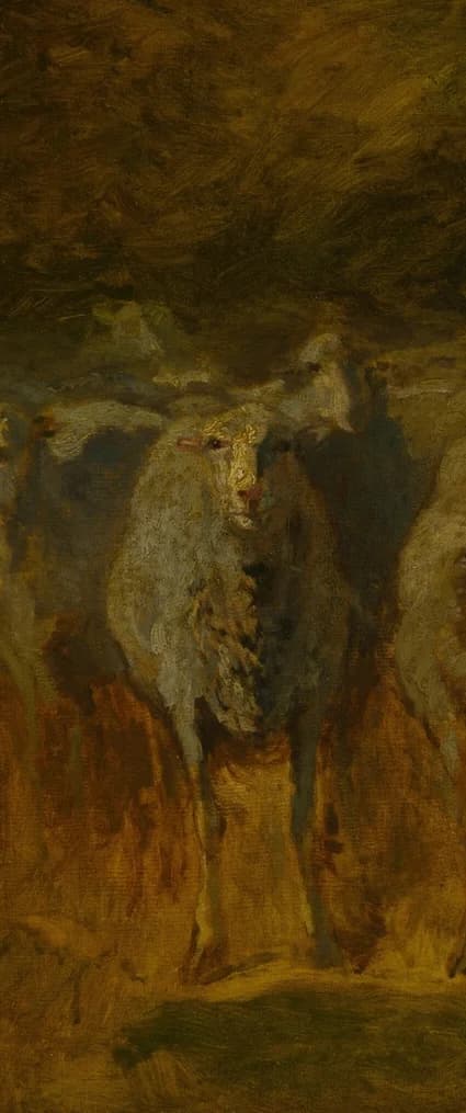 central sheep