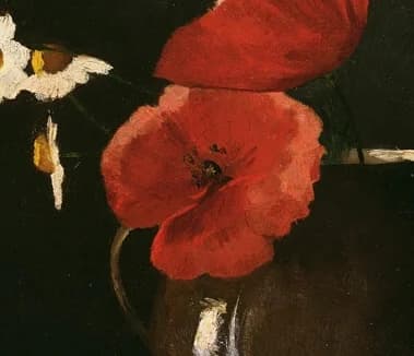front-facing red poppy