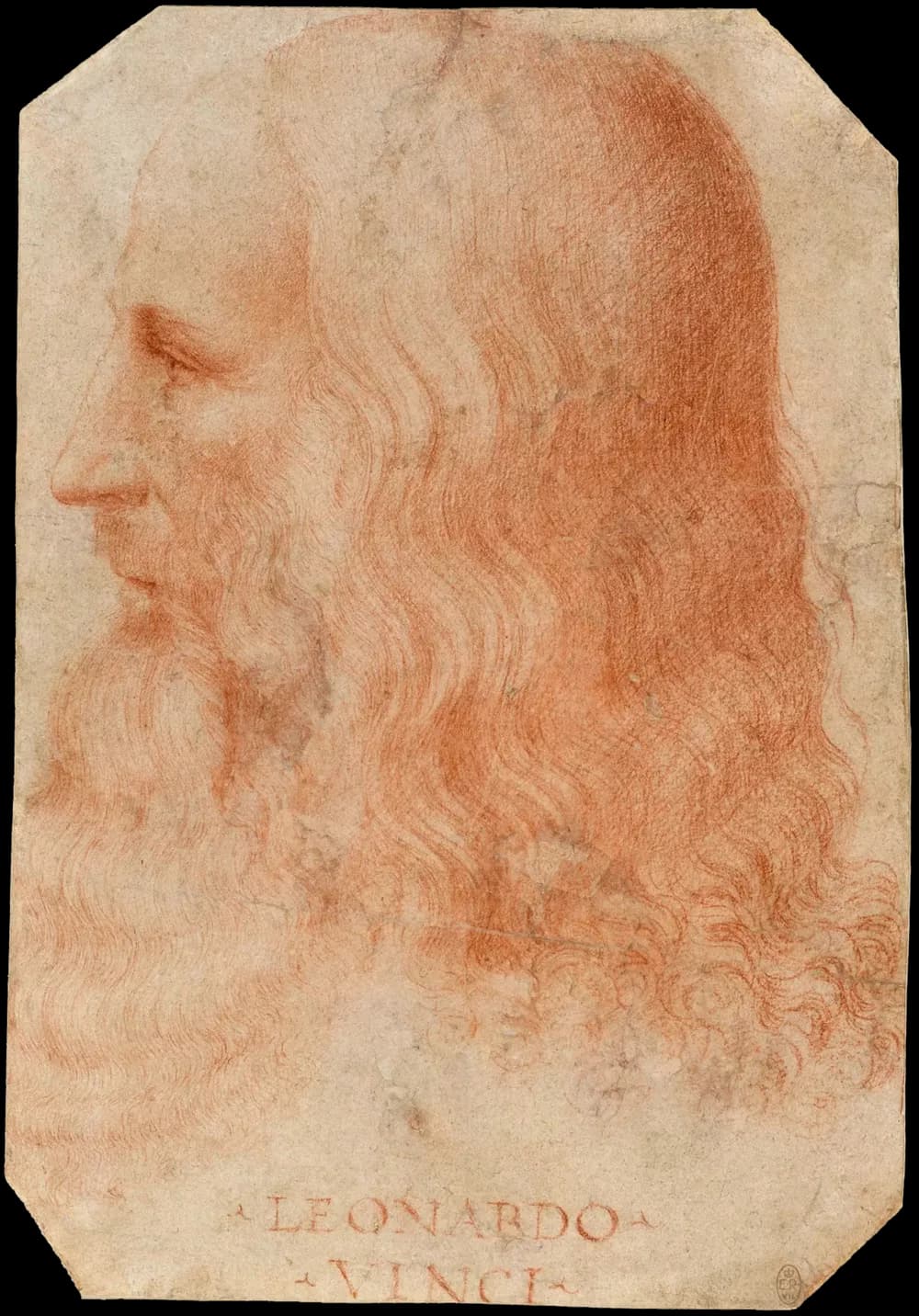 Leonardo da Vinci(肖像)
