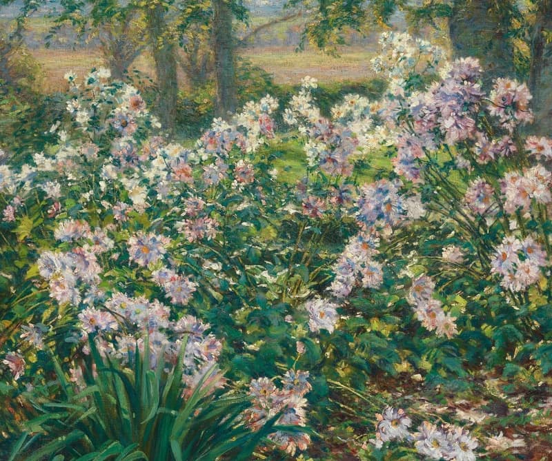 white flowers spreading in the center