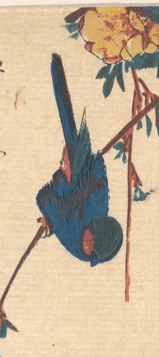 blue bird