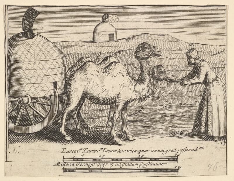 Two Dromedaries (Aubry de La Mottraye's "Travels throughout Europe, Asia and into Part of Africa...," London, 1724, plate 314)