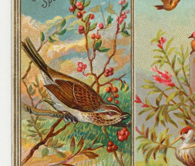 Birds in Art — detail 4