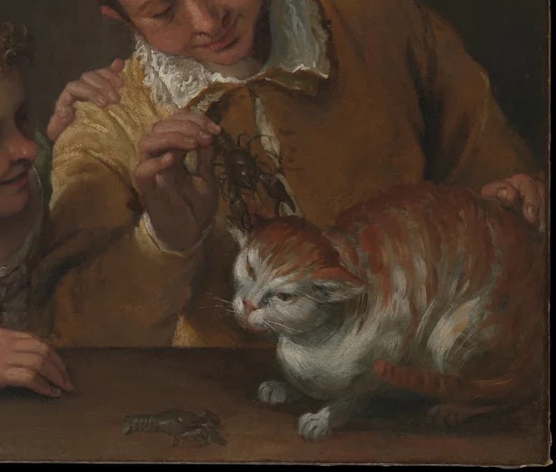 ginger and white cat