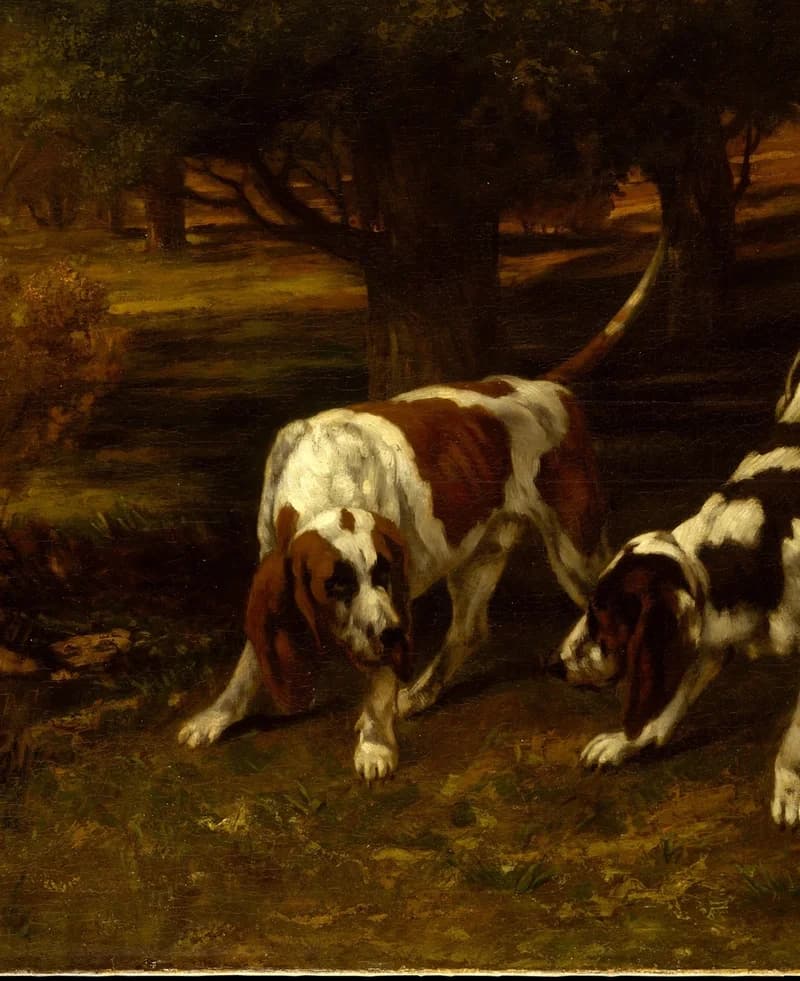 left hunting dog (white and brown)