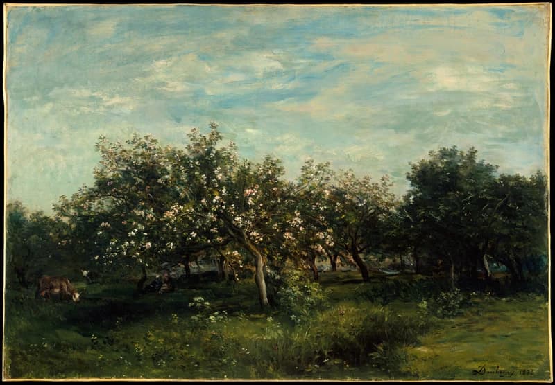 Apple Blossoms