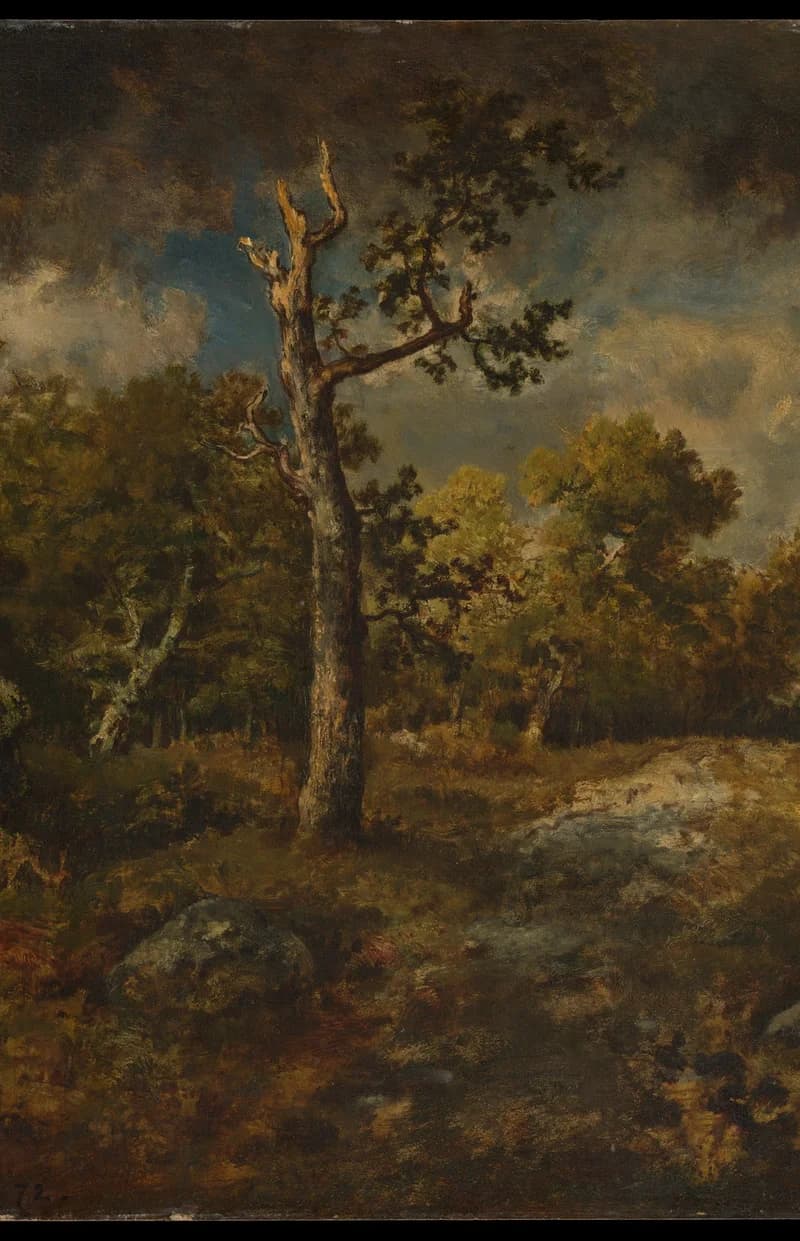 main gnarled tree