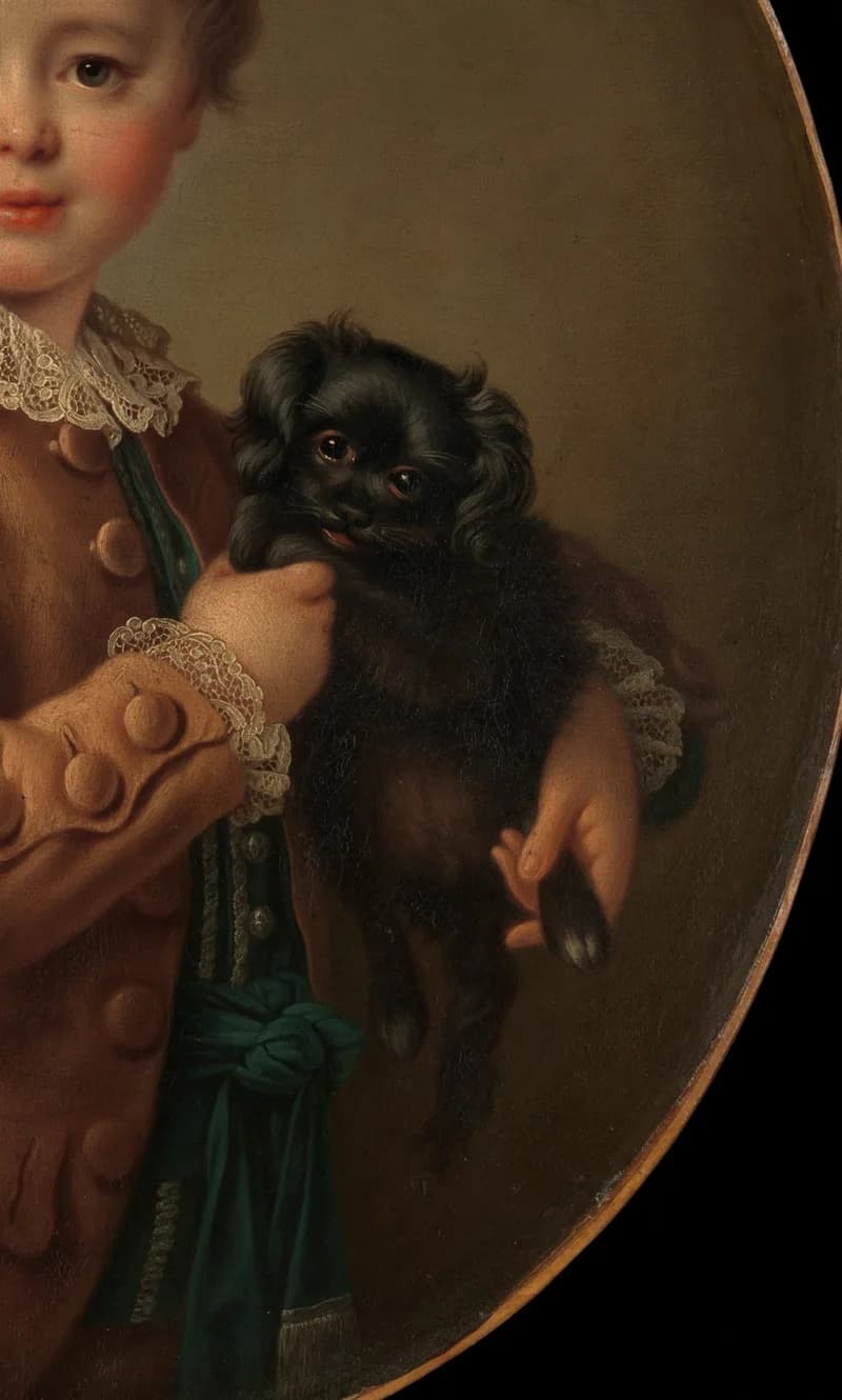 Black spaniel