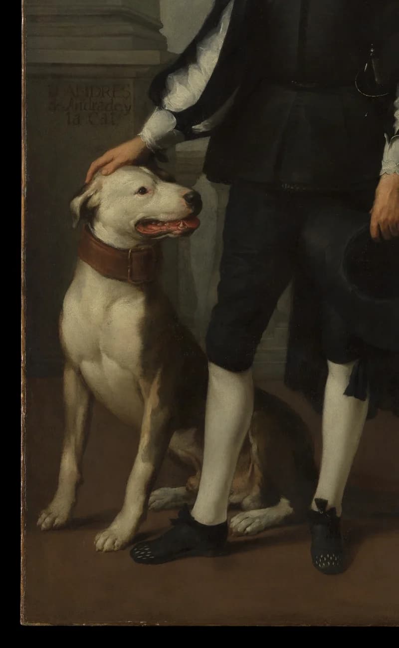 Faithful large white dog