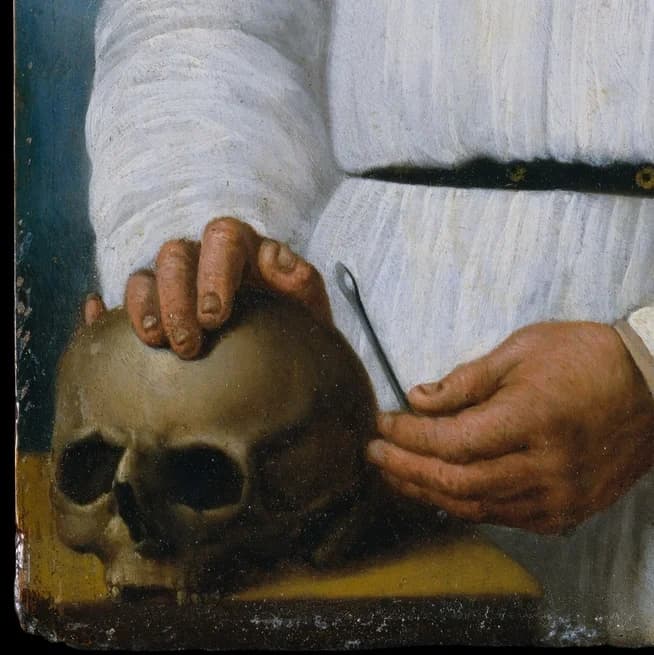 Human skull