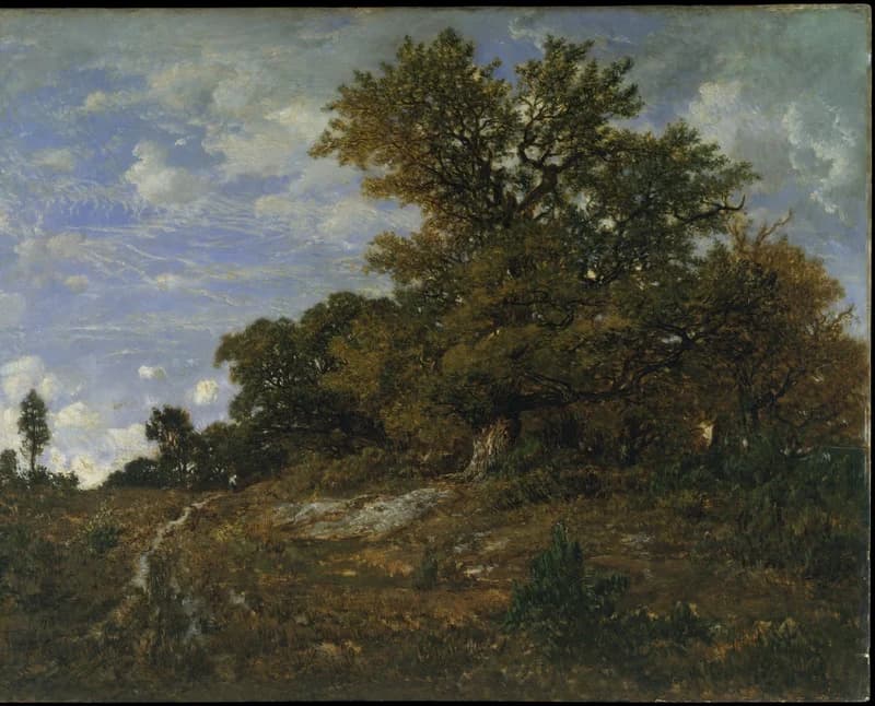 massive oak tree