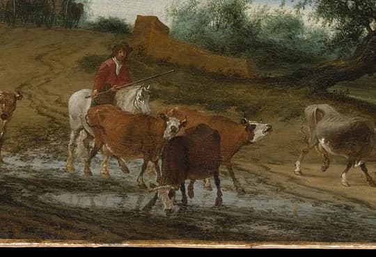 herd of cattle walking near water