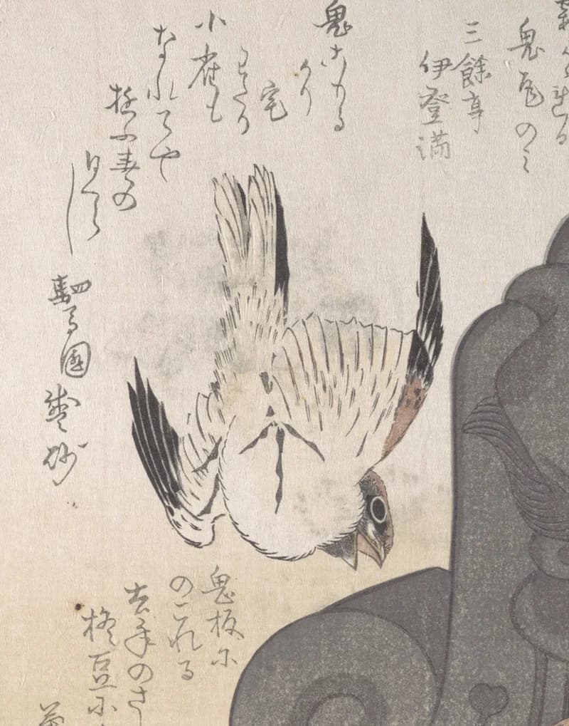 Sparrow in flight