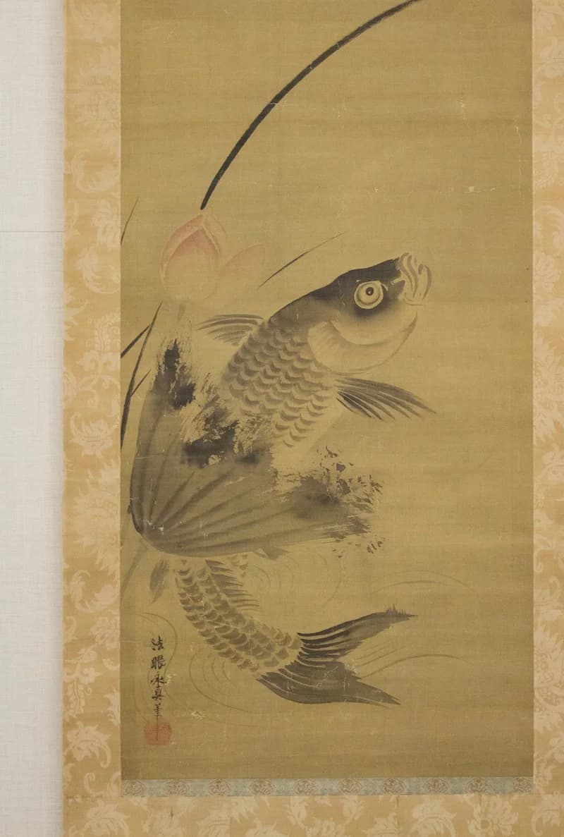 Powerful leaping carp