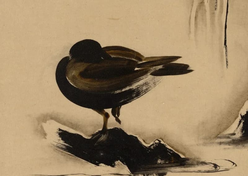 bird perched on a rock