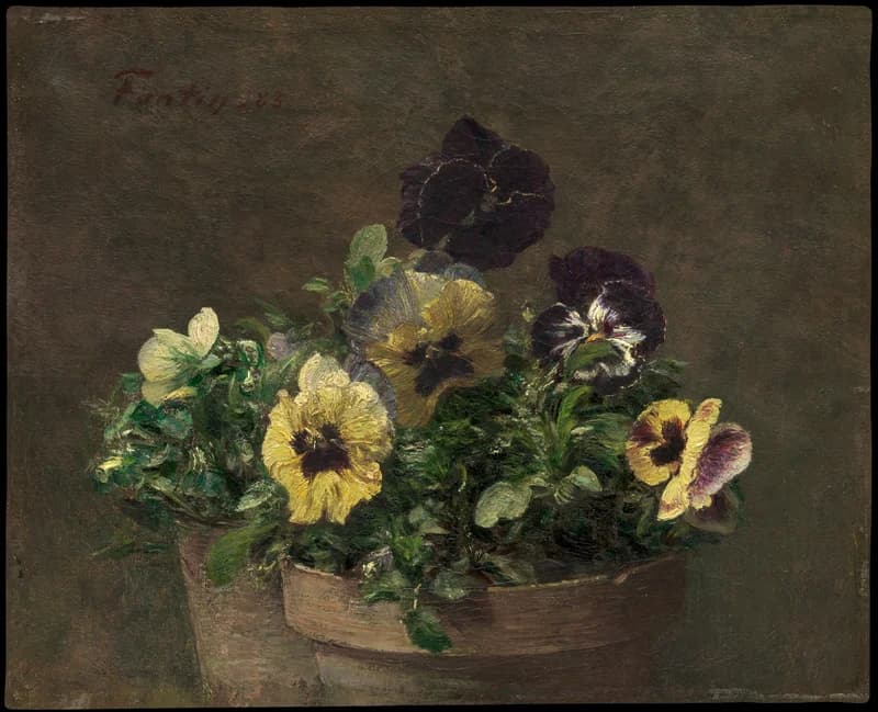 Overall mass of pansies