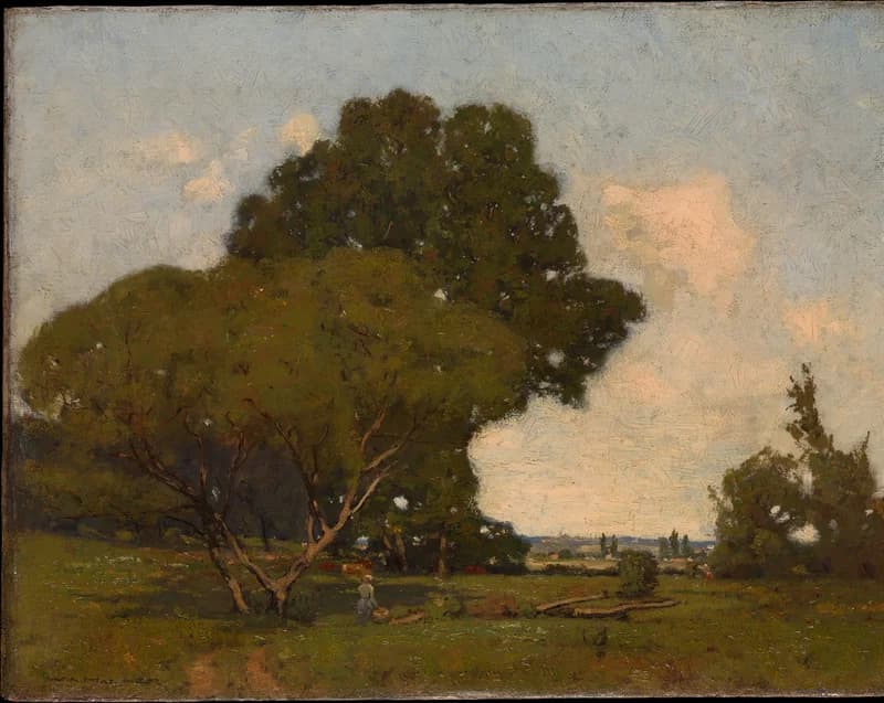 large group of trees from center to left
