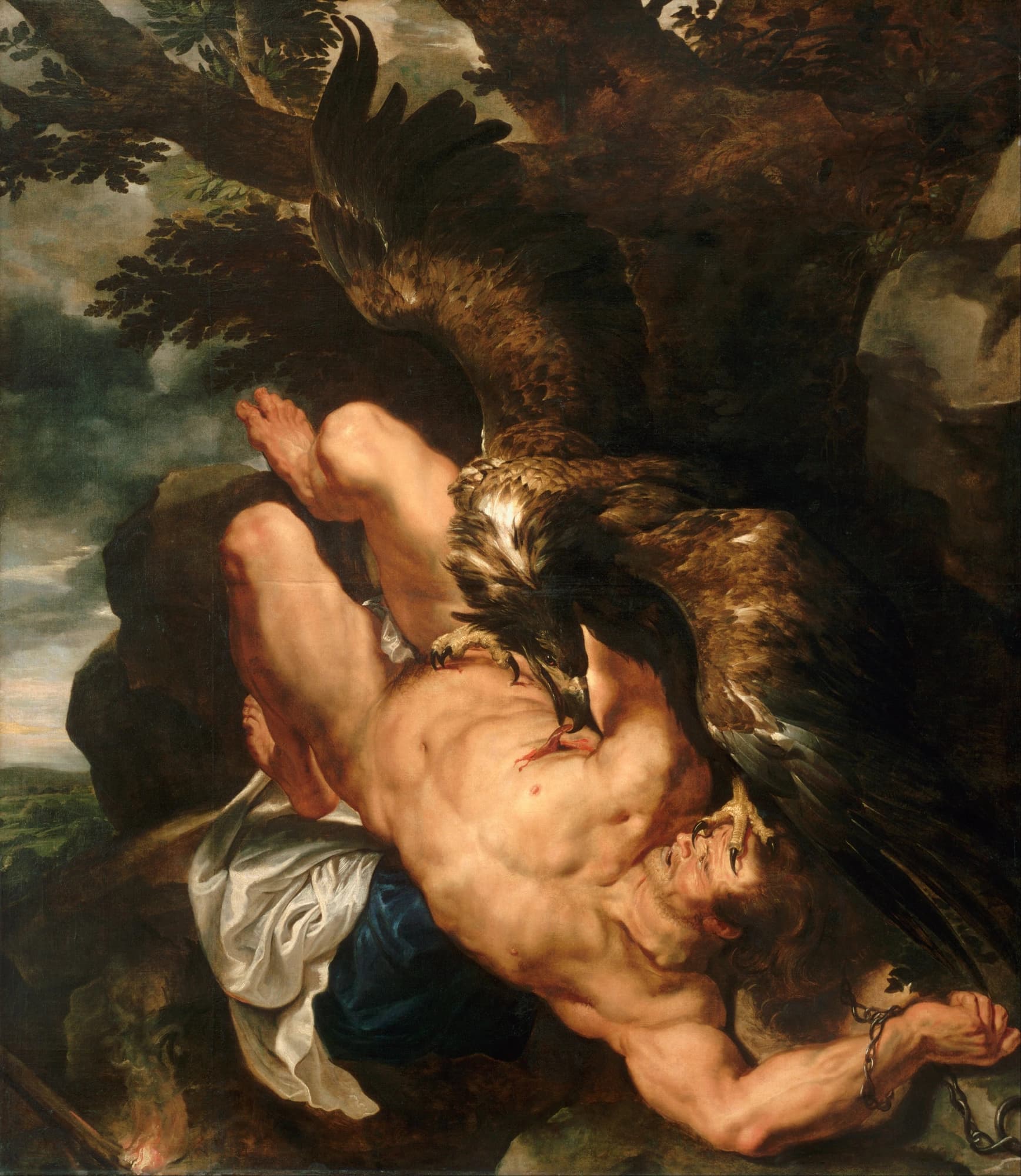 Frans Snyders