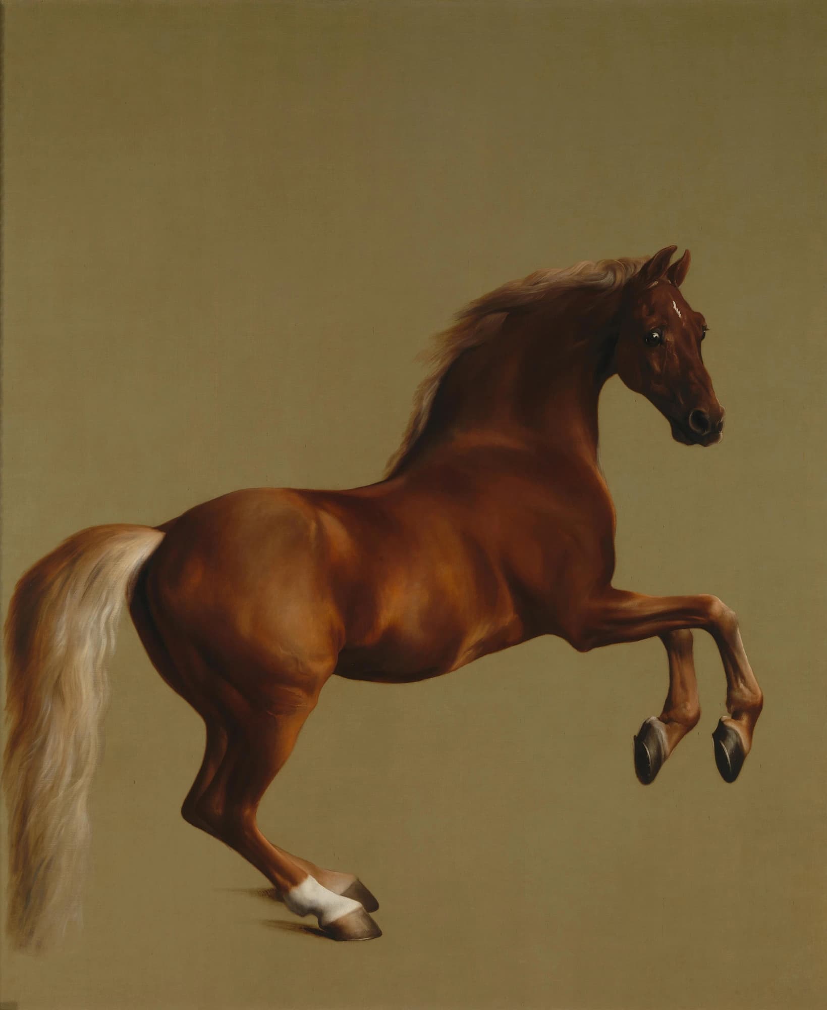 George Stubbs