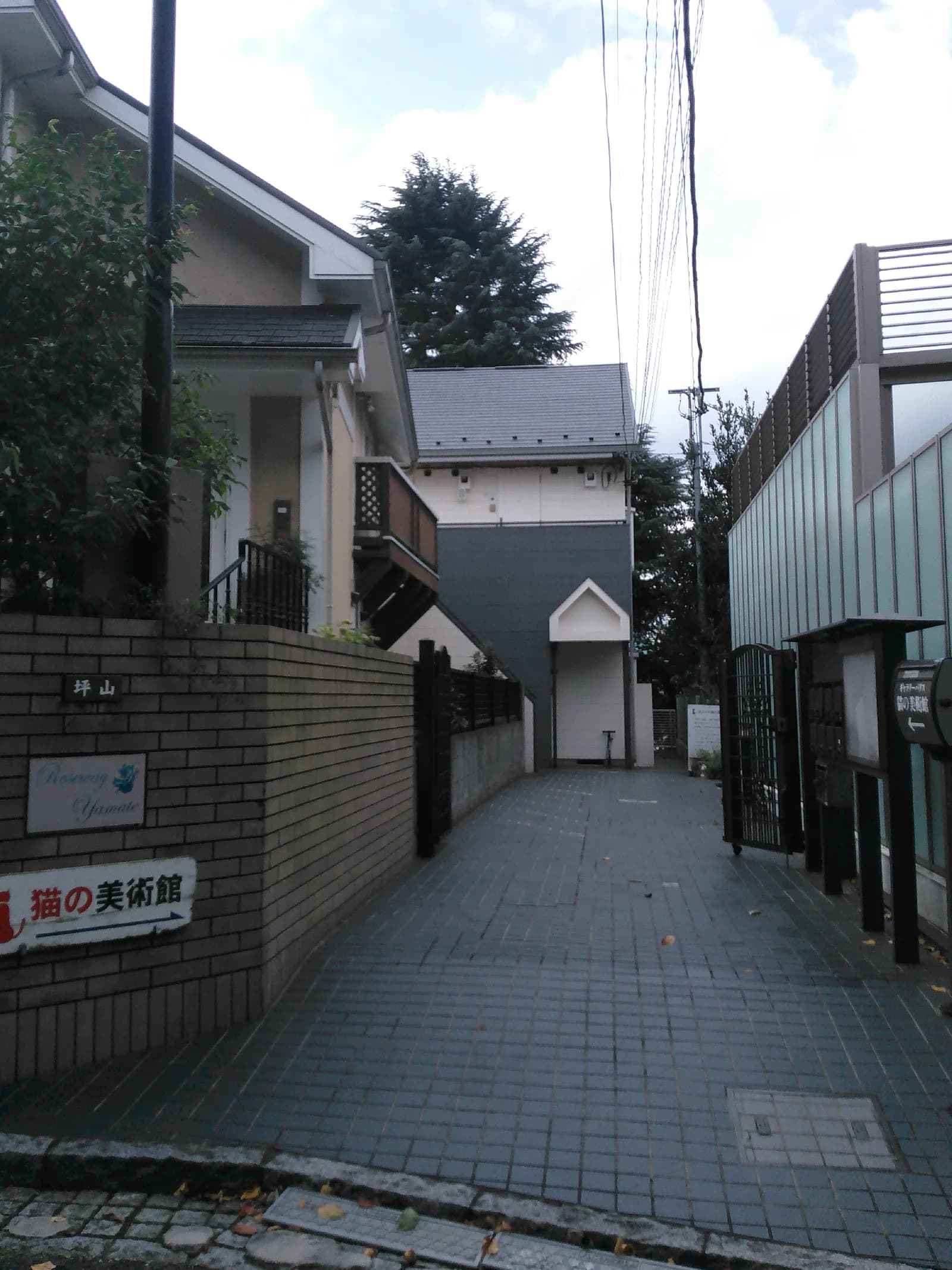 ヨコハマ猫の美術館